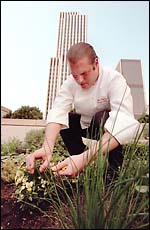 Click Here to read Marty Wingate's Article on Chef Don's Urban Garden